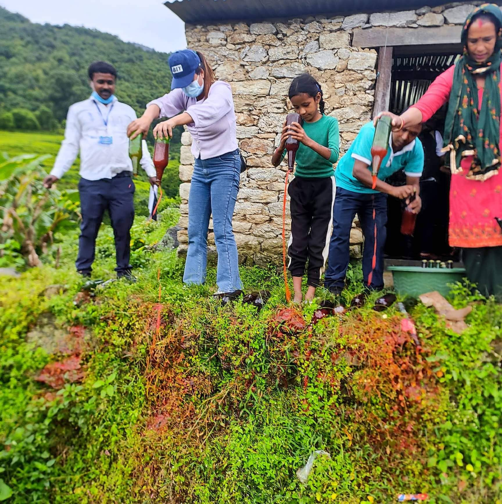 वायलमा ठुलो परिमाणमा अखाद्य बस्तु नष्ट