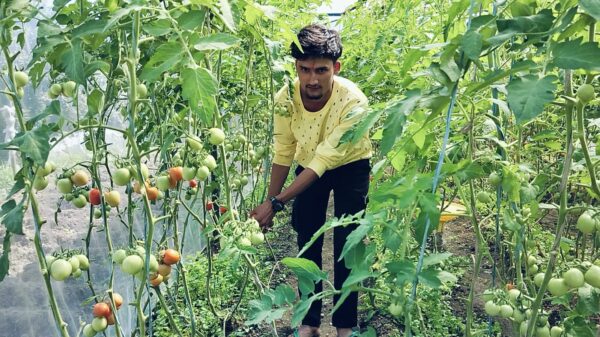 पढाइसँगै कृषिमा फस्टाउँदै भट्ट (भिडियो सहित)