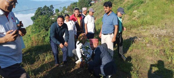 डोटीमा संविधान दिवसको अवसरमा वृक्षारोपण